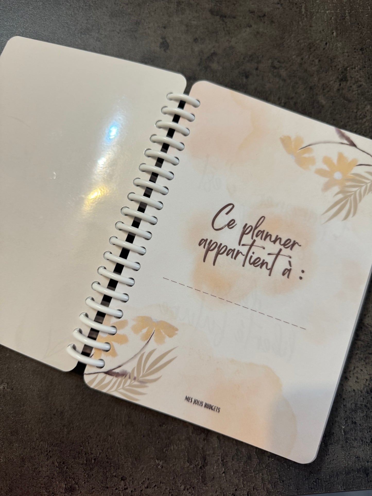 Budget Planner A5 12 mois Beige Fleuri