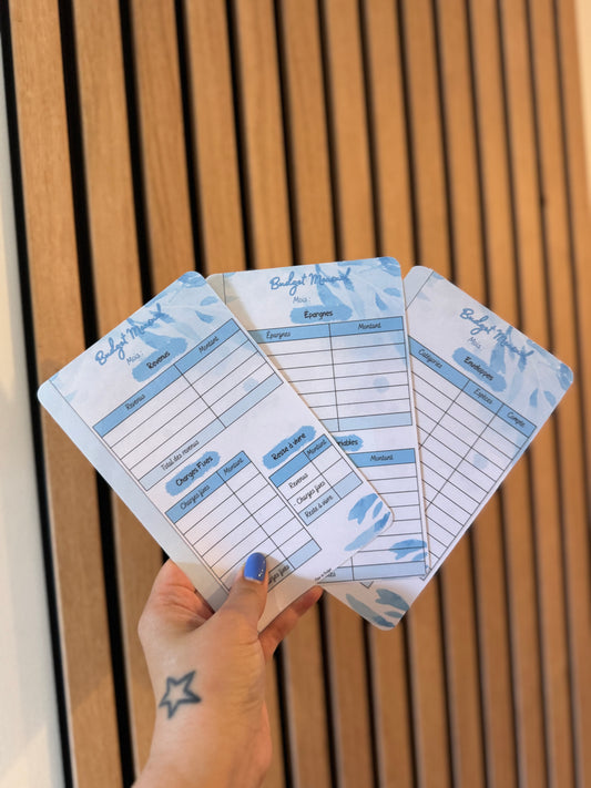 3 fiches budgétaires bleus 🦋