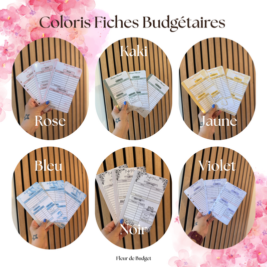 🎀  Box débutant - "Je commence Mon Budget avec Douceur" 🎀