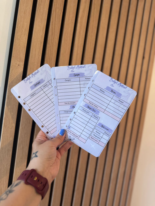 3 fiches budgétaires violettes 🪻